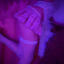 Nastyxxx
