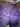 Alexxx228