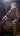 botman