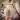 maxx22