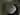 Spermlove22