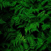 image1665999541.jpg